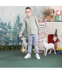 CAMISA NIÑO VERDE BOTELLA