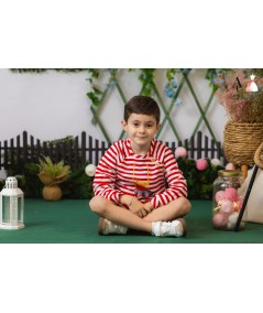 SUDADERA NIÑO RAYAS ROJAS